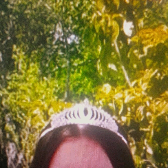 Silver Tiara - Picture 1 of 1